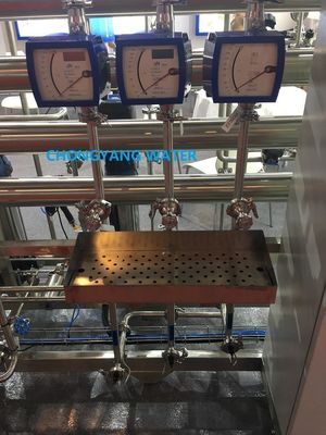 Pharma Water System Purified Water System For Pharma With DQ IQ OQ FAT SAT