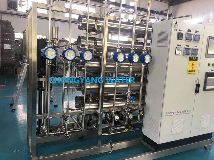 GMP Pharma Purified Water System With Double Pass RO Technology